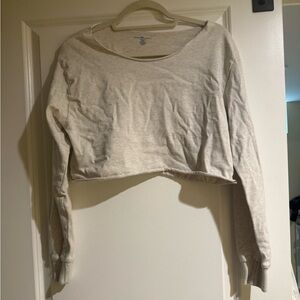 Brandy Melville Light Heather Cropped Long-Sleeve Top
